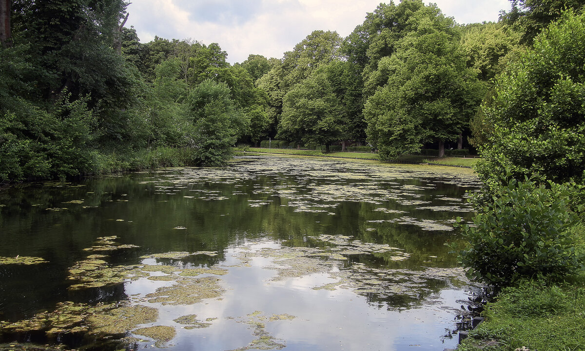 В парке - Андроник Александр В парке - Андроник Александр