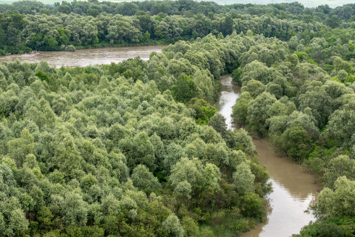 Протока и река Кубань - Игорь Сикорский