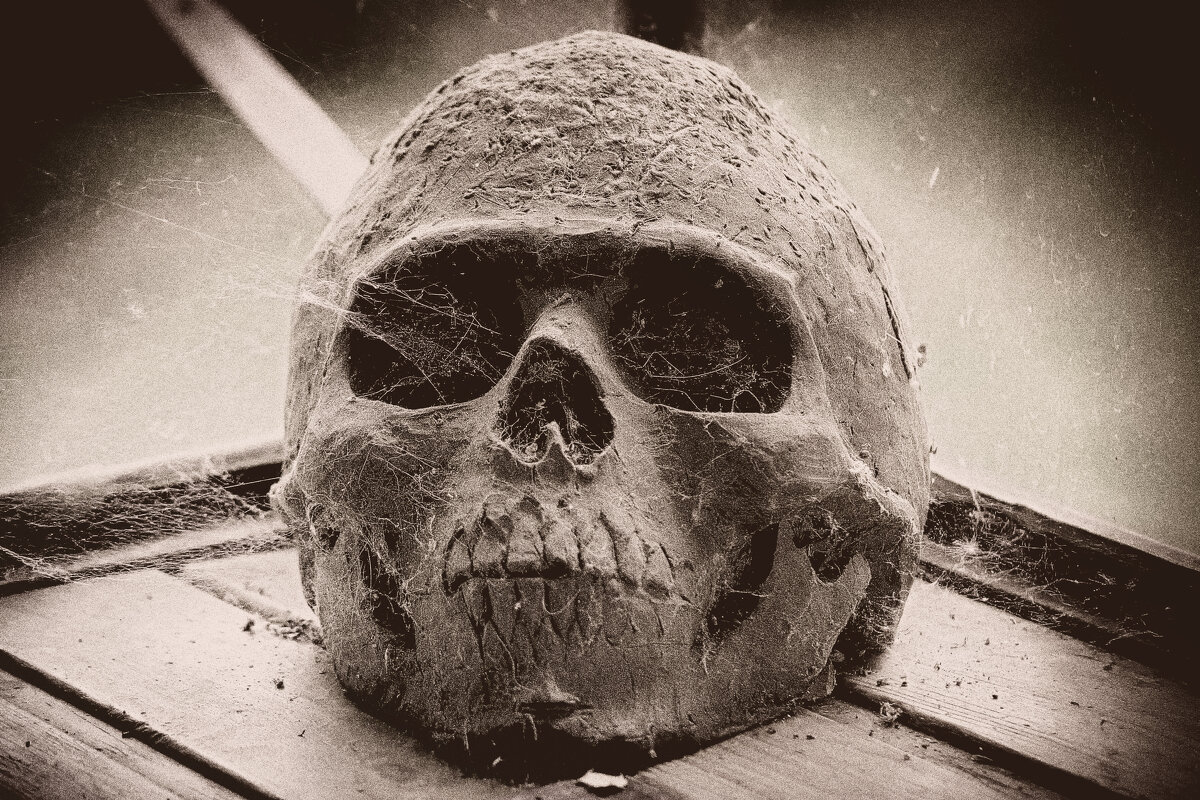 БЕДНЫЙ ЙОРИК, Я ЗНАЛ ЕГО КОГДА-ТО... :-) - Володька Завитушкин БЕДНЫЙ ЙОРИК, Я ЗНАЛ ЕГО КОГДА-ТО... :-) - Володька Завитушкин