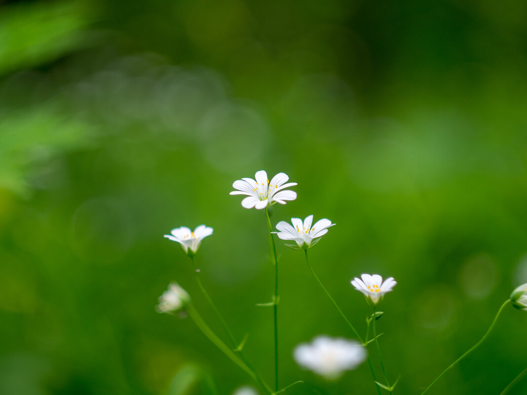 ___ - Yuriy V ___ - Yuriy V