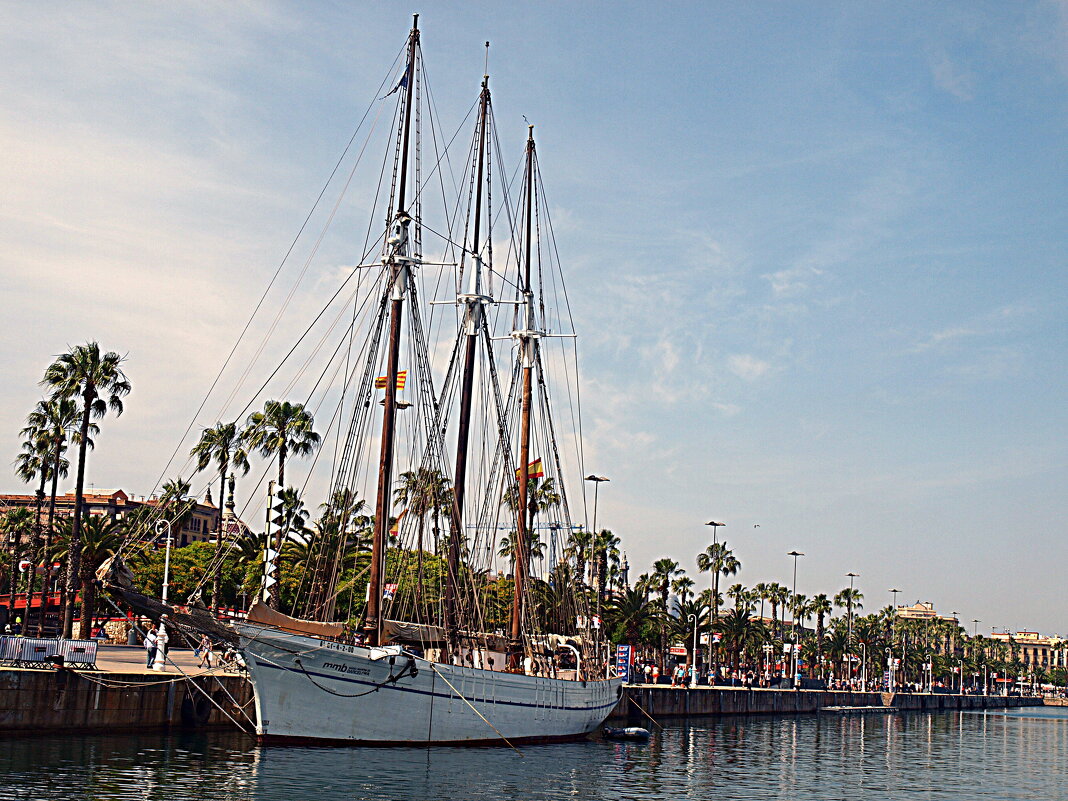 Барселона. - Владимир Драгунский