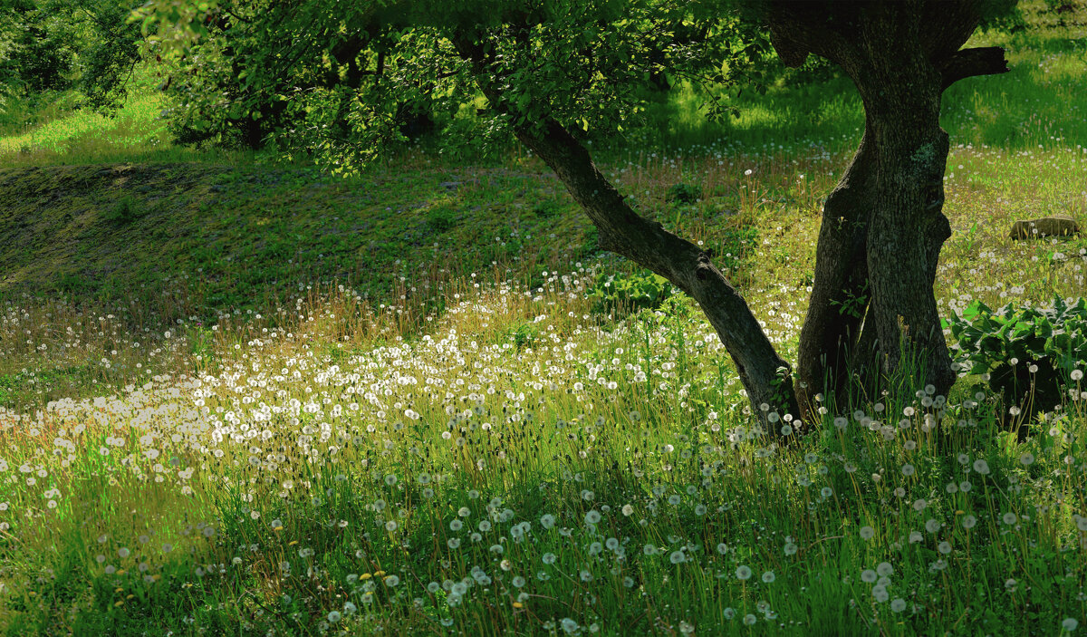 Пейзаж - Эдуард Куклин