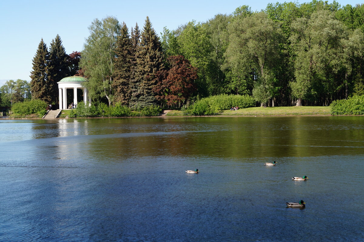 на природе - Anna-Sabina Anna-Sabina на природе - Anna-Sabina Anna-Sabina