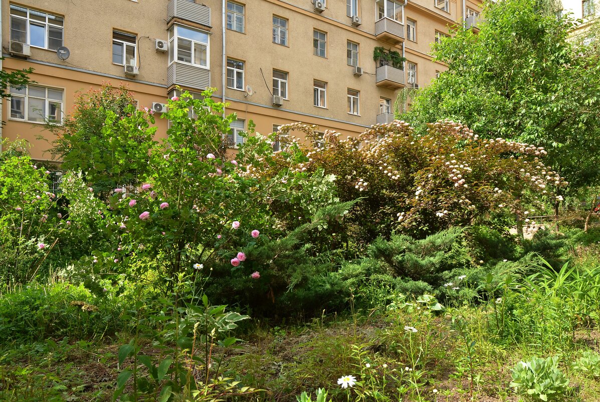 Лето - Oleg4618 Шутченко