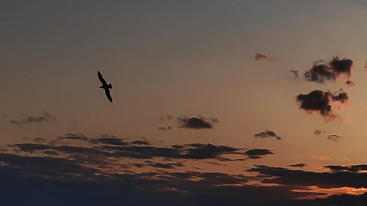 Жизнь - Андрей 