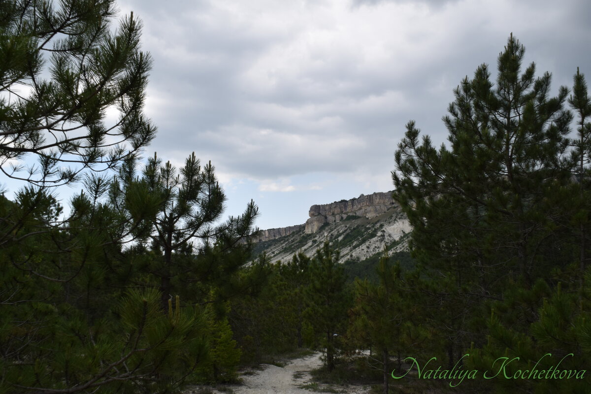 Природа Крыма - Amazing Cosmea