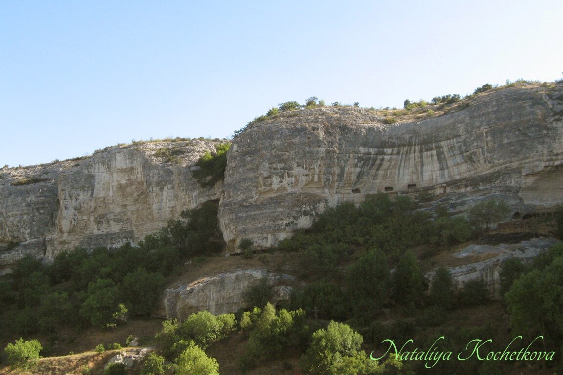 Природа Крыма - Amazing Cosmea