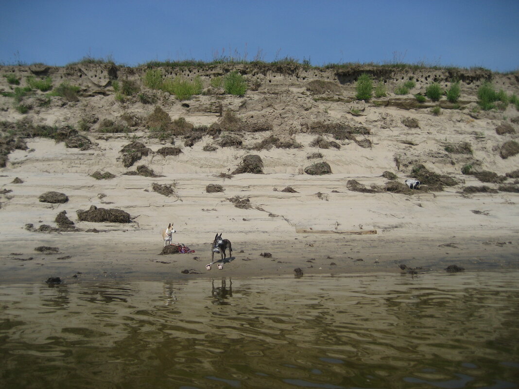 Протока обмелела - Anna Ivanova Протока обмелела - Anna Ivanova