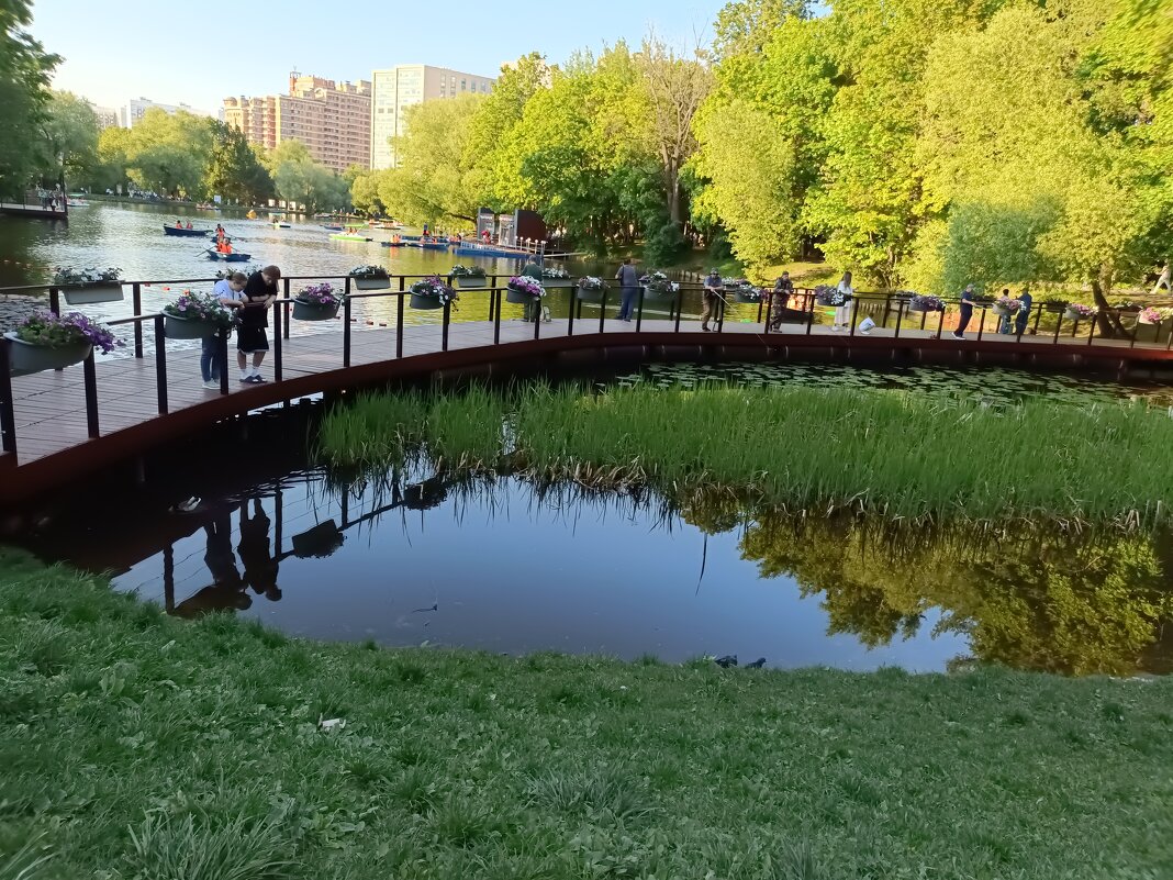 Воронцовский парк - Галина R...