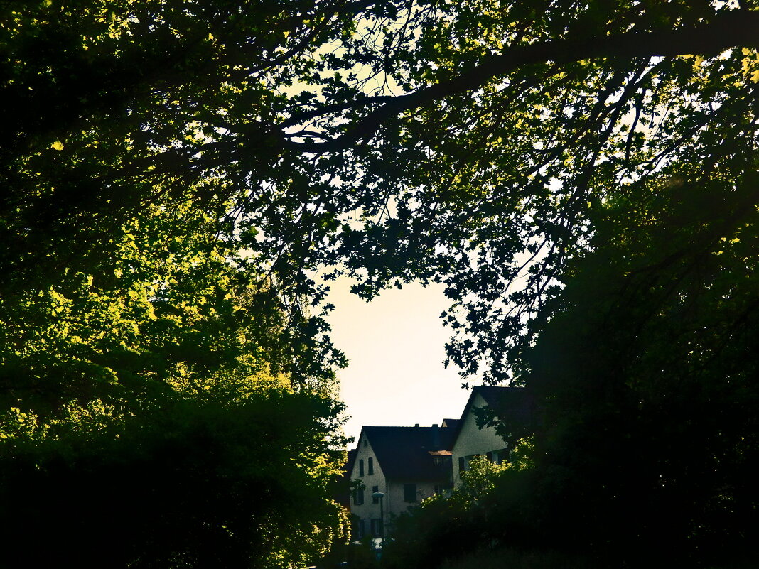 Летние этюды 19 - Алексей Кузнецов