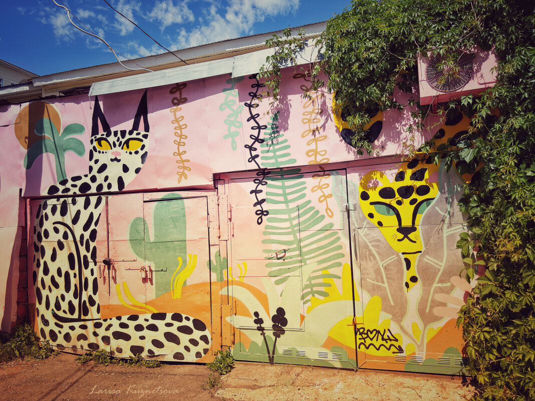 Стрит арт г.Уфа - Larisa Kuznetsova