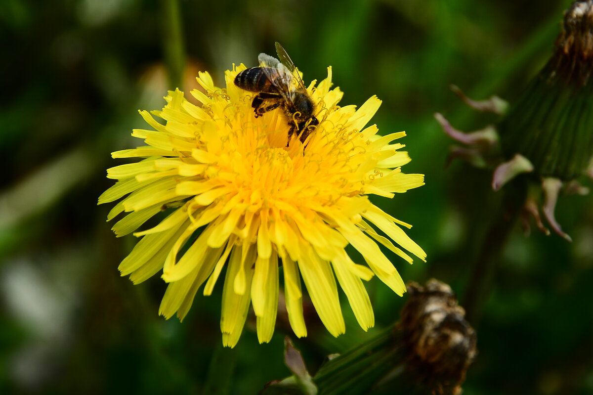 xxxxxx - סּﮗRuslan HAIBIKE Sevastyanovסּﮗסּ