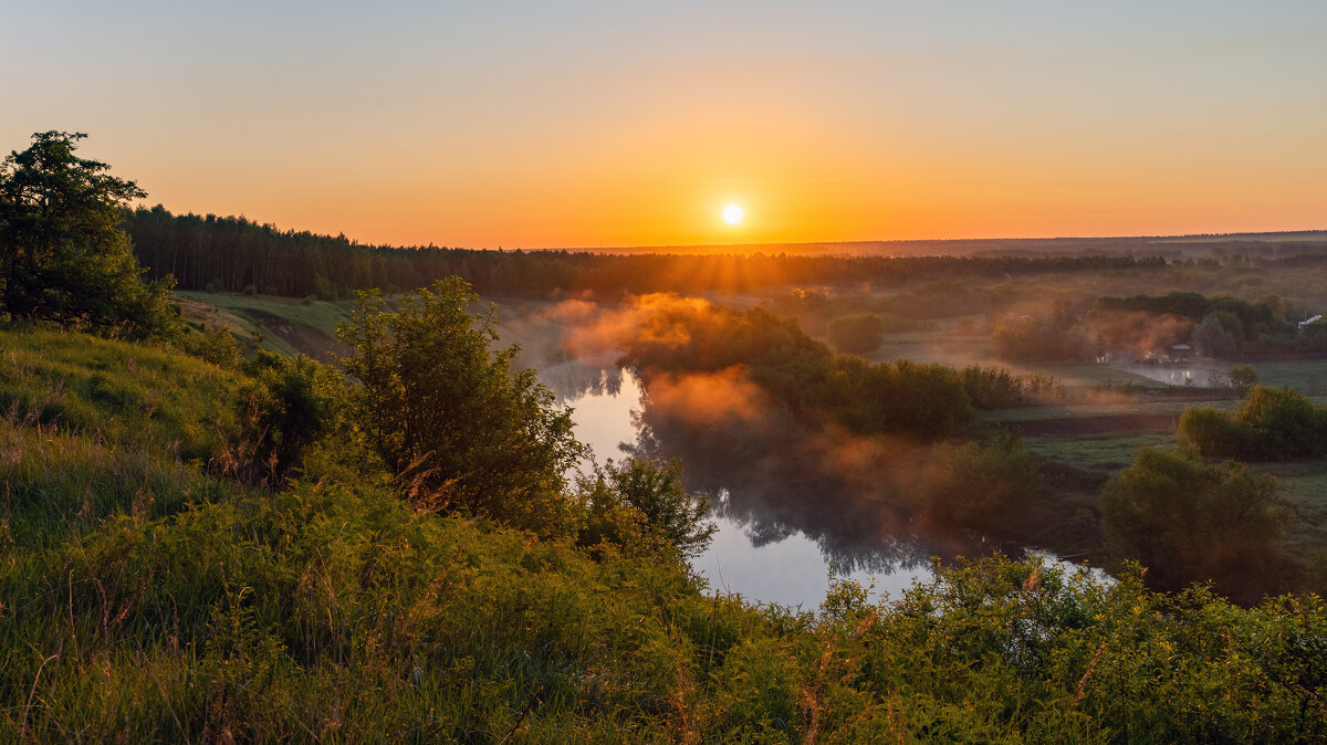 **** - Виталий Емельянов
