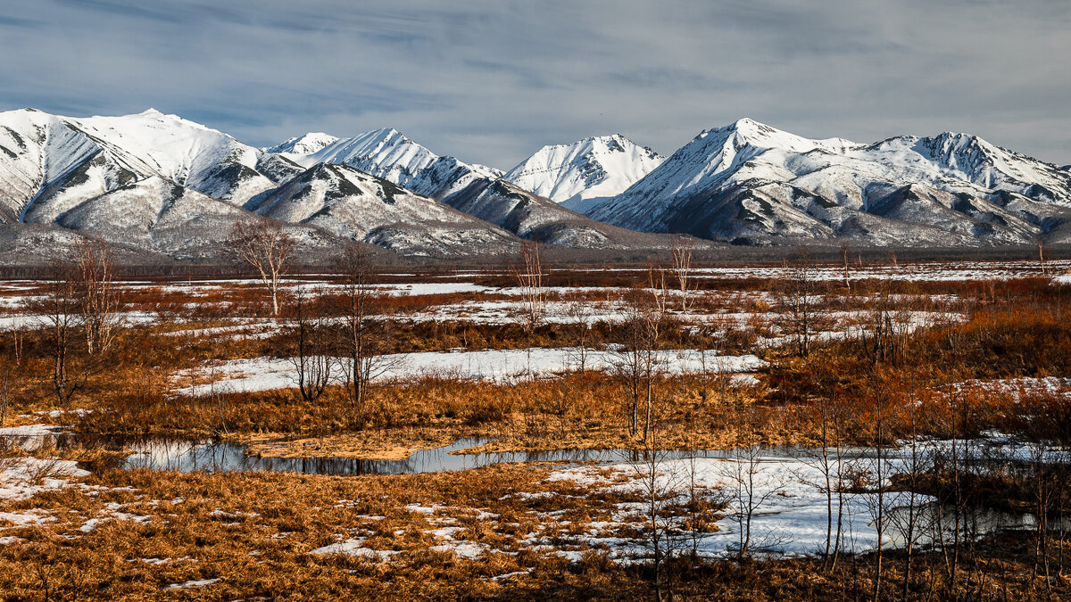 ... - Жора Житников ... - Жора Житников
