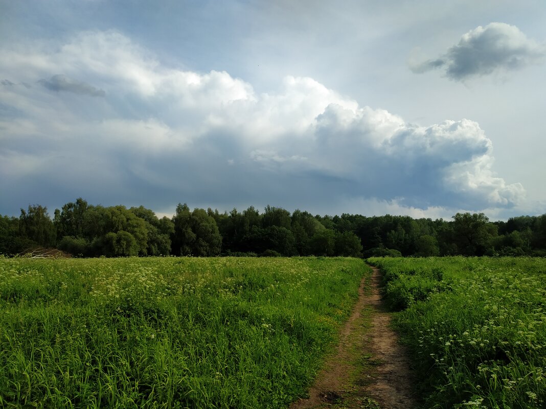 Июнь как он есть - Андрей Лукьянов Июнь как он есть - Андрей Лукьянов