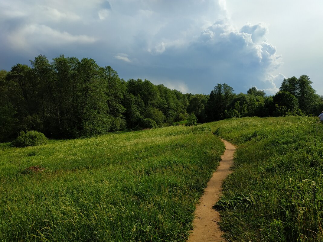Июнь как он есть - Андрей Лукьянов