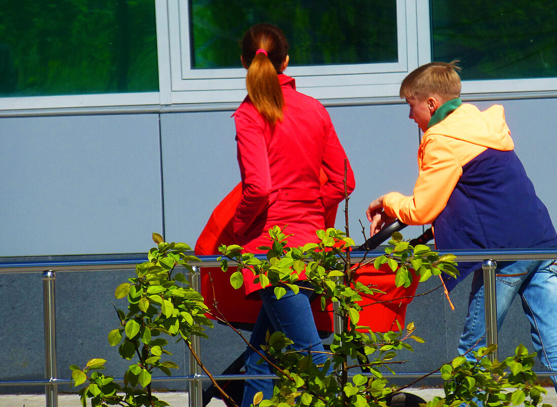 Июнь...Кто папа, кто мама? - Владимир 