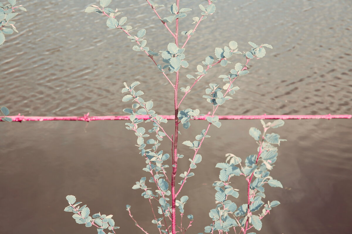 Назва. отсу. - Денис Безногов