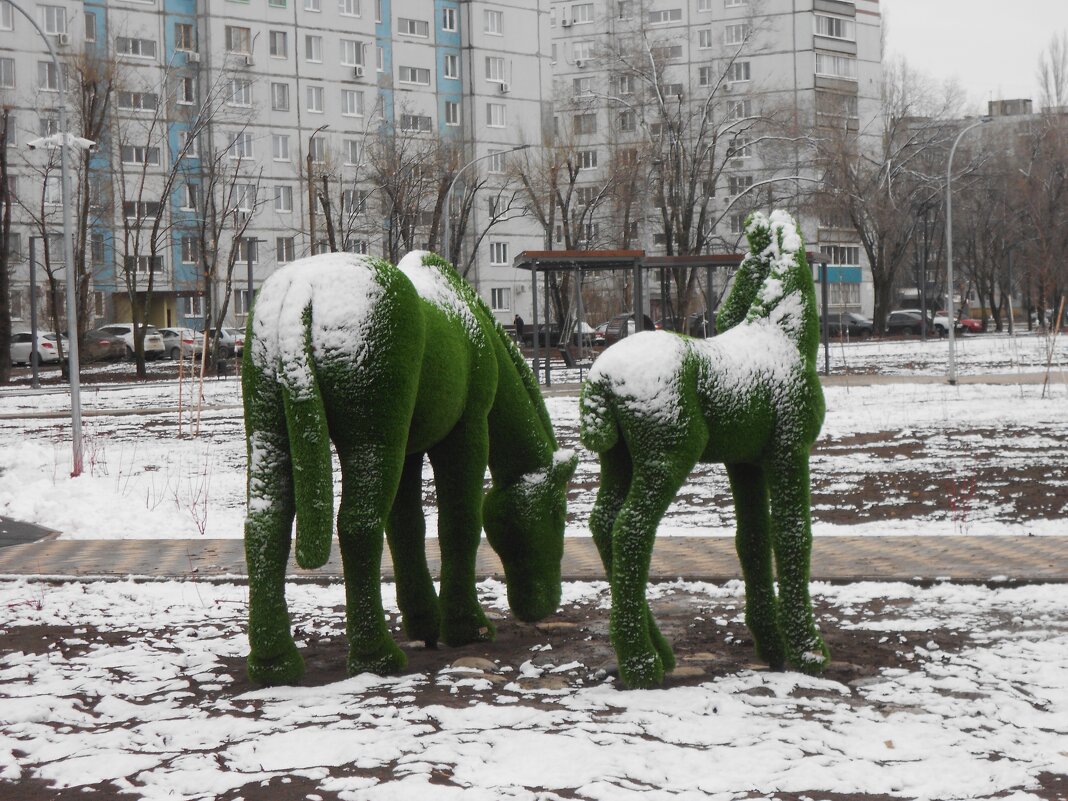 март - Елена Шаламова