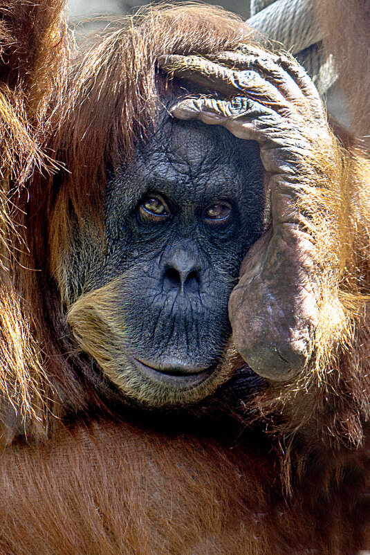 Где мои молодые годы ? - Валентин 