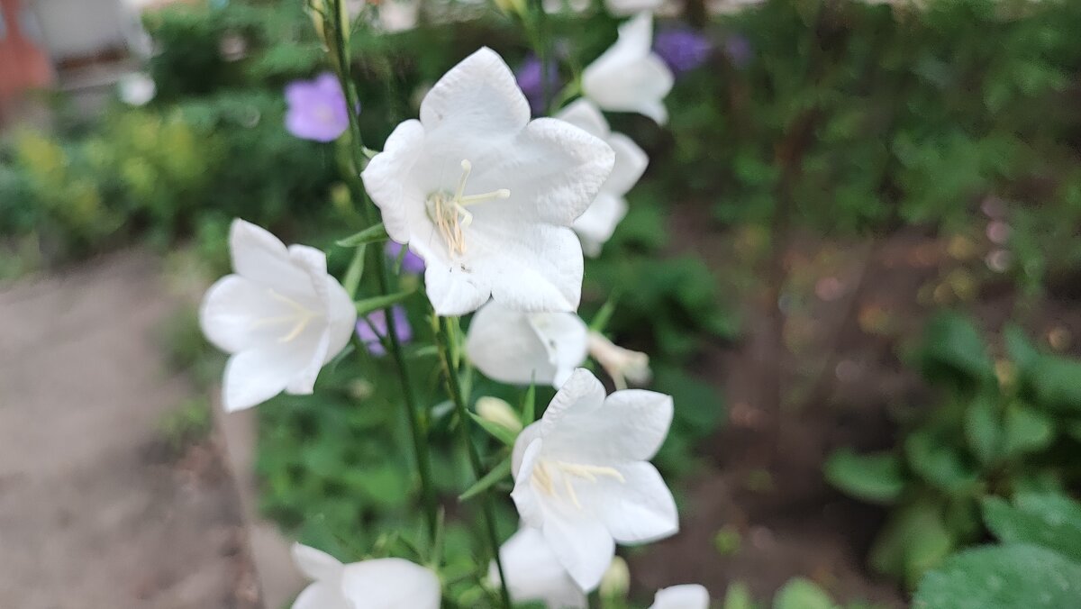 ,,, - Сергей Тимоновский