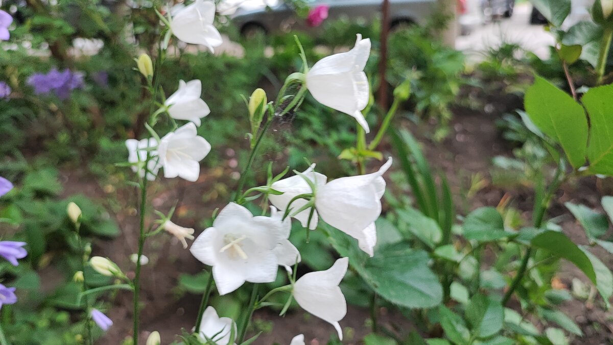 ,,, - Сергей Тимоновский ,,, - Сергей Тимоновский