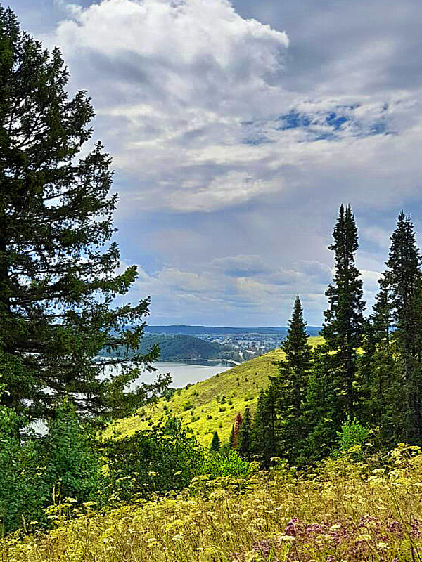 На берегу пруда - Алевтина На берегу пруда - Алевтина