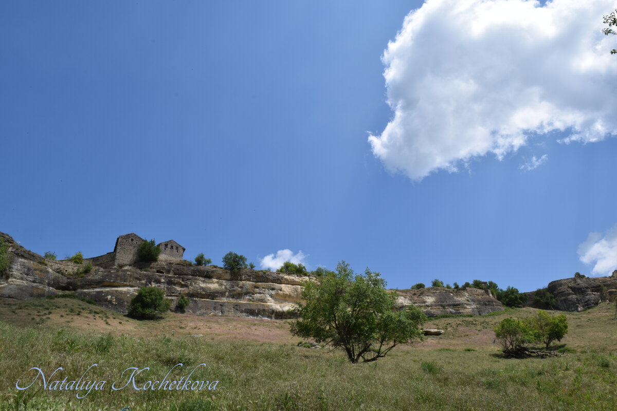 Природа Крыма - Amazing Cosmea Природа Крыма - Amazing Cosmea