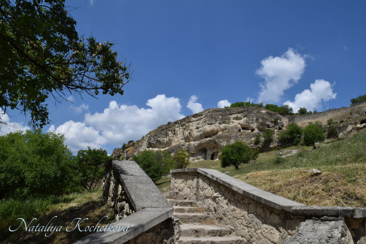Природа Крыма - Amazing Cosmea