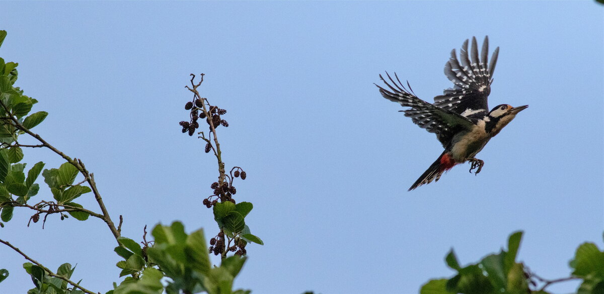 -- - vladimir -- - vladimir