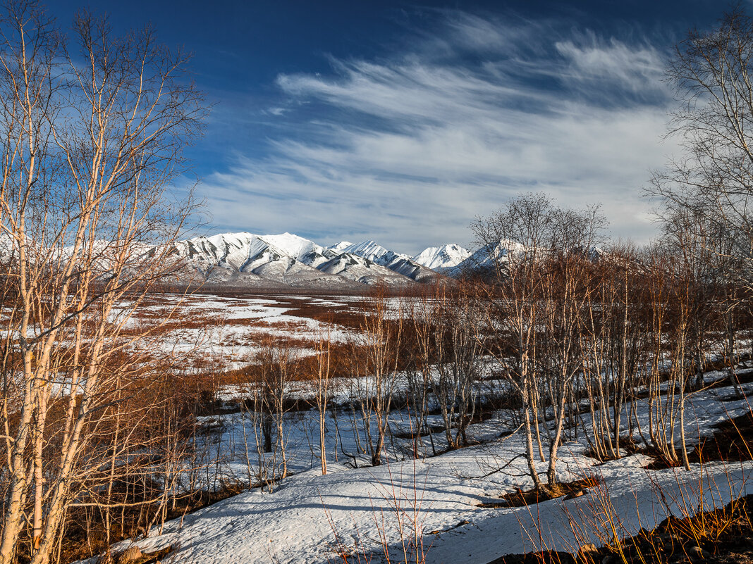 ... - Жора Житников