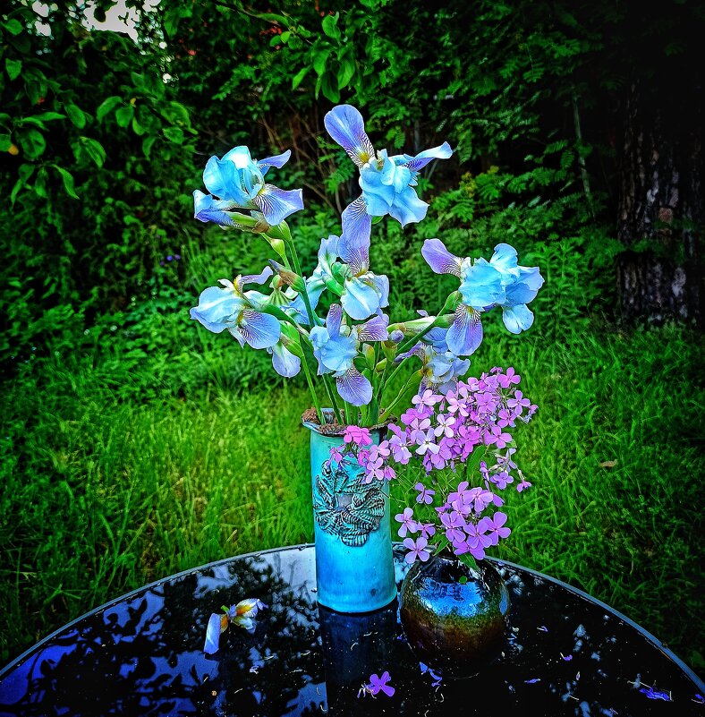 "Ирис дымный, ирис нежный... " - veilins veilins