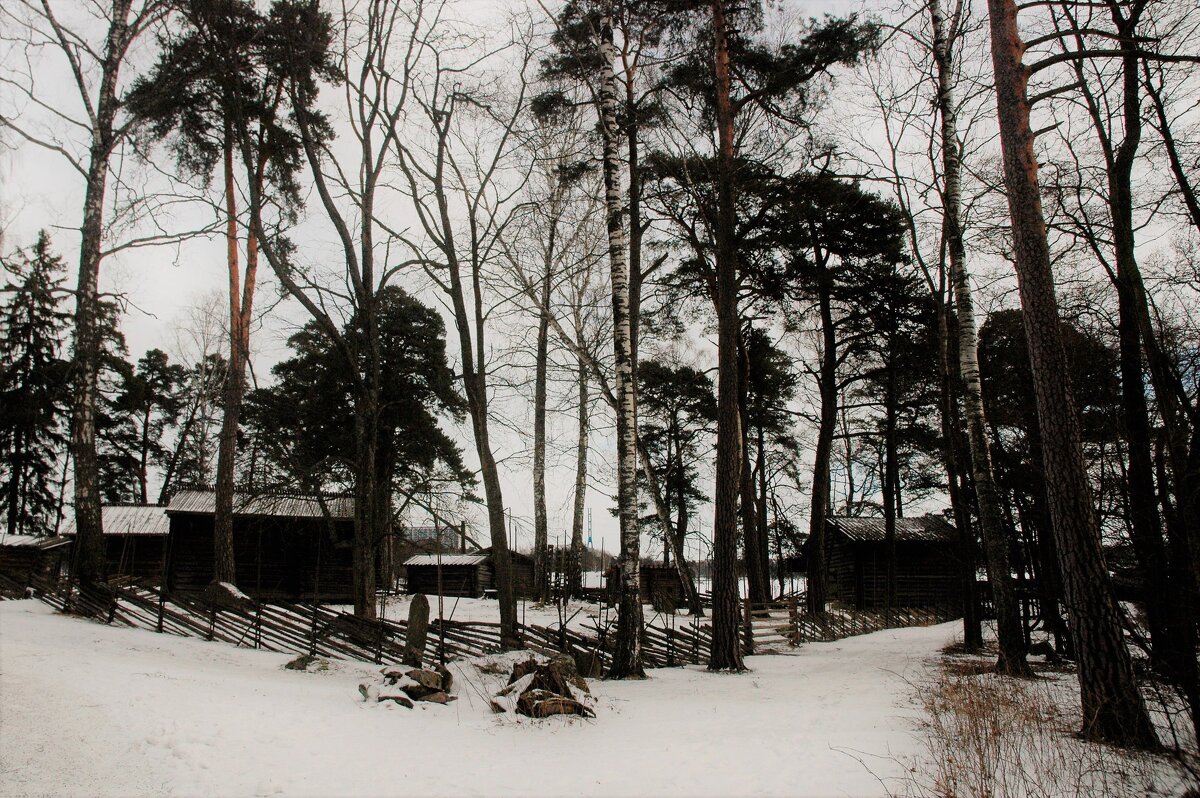 Сеурасаари - Alexandra Sakharova