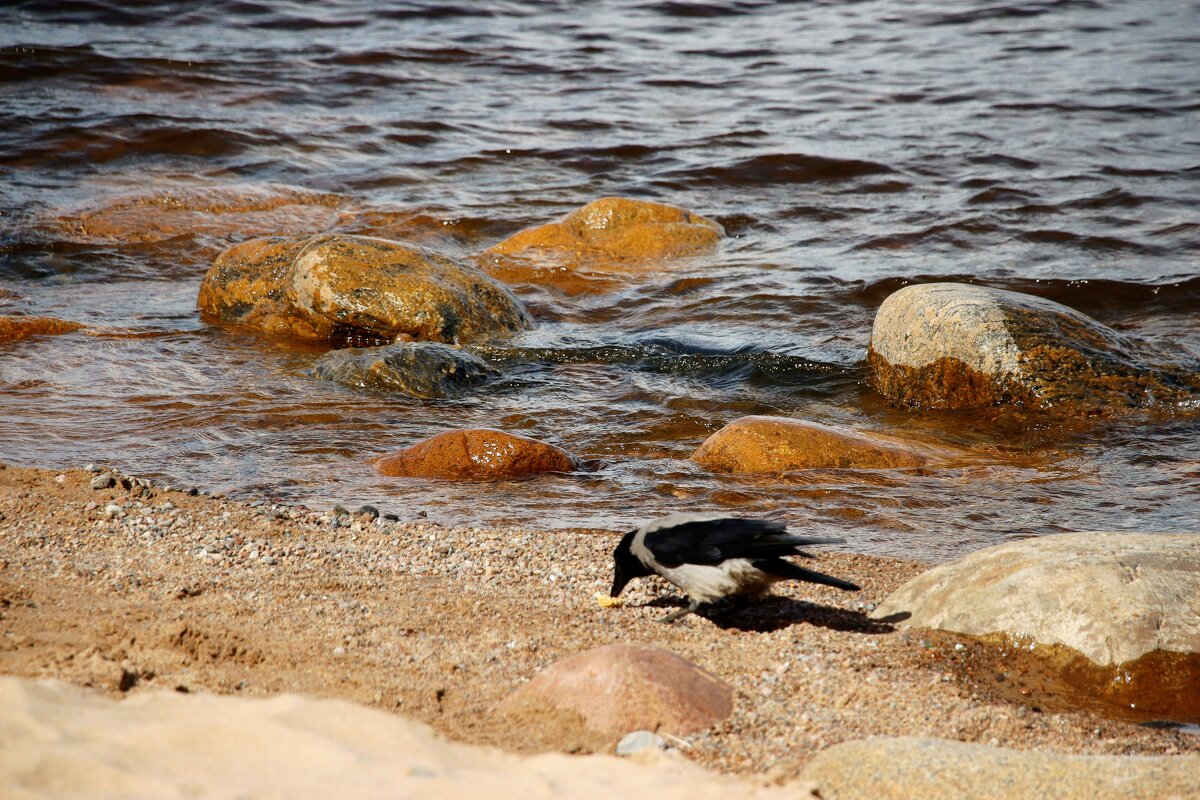 Что-то нашла - Наталья Герасимова
