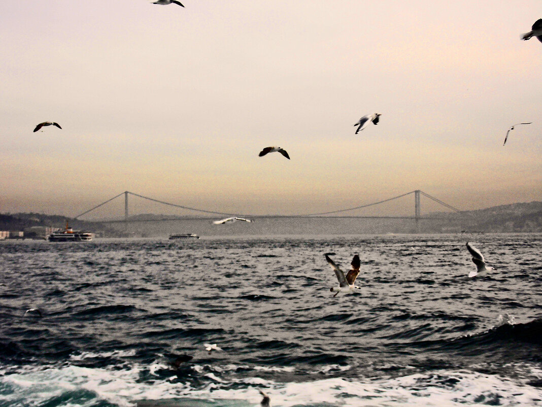 Стамбул - 8 - Артём Кузнецов