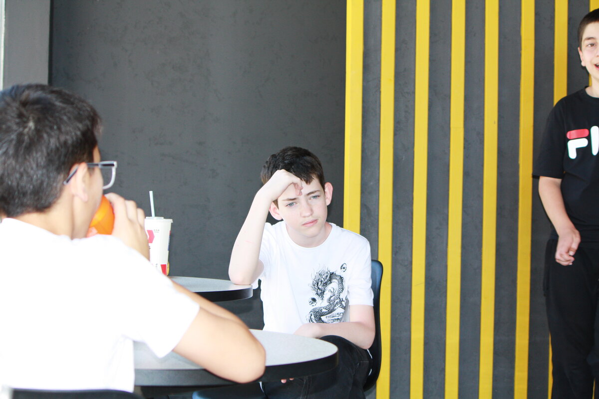 В размышлениях о проигранных партиях...) - Константин Штарк