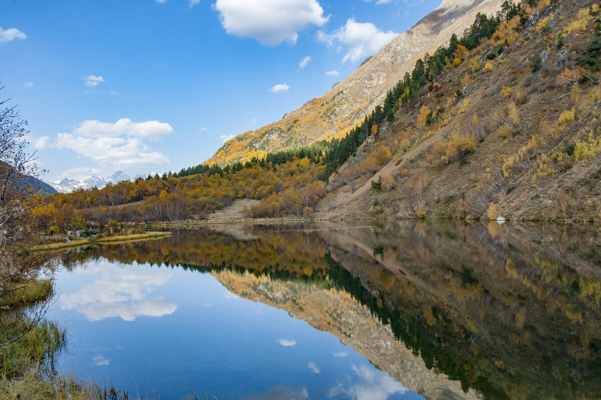 .... - Алексей Фокин .... - Алексей Фокин