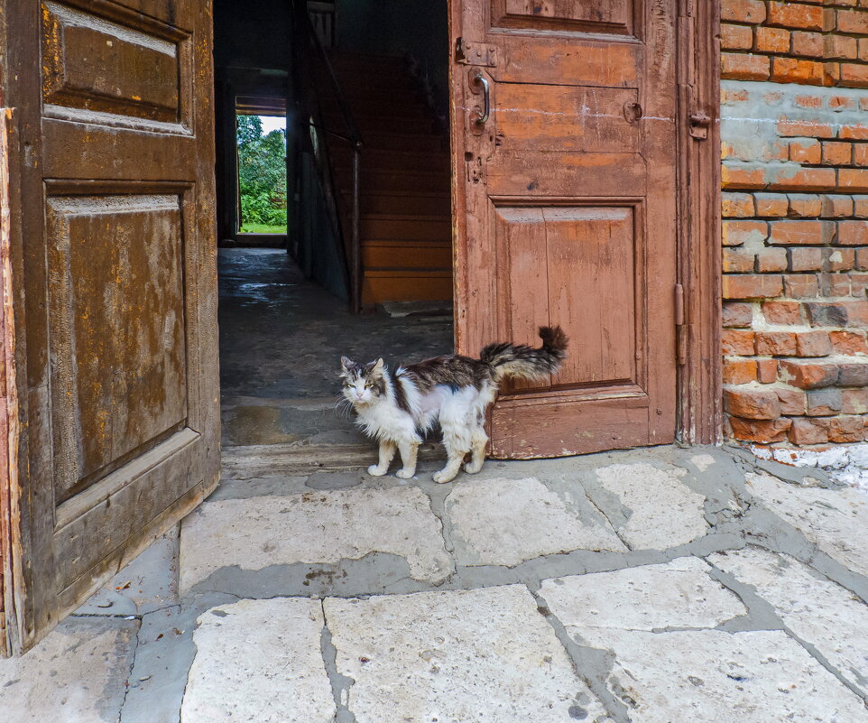 Встреча у "парадного" подъезда - Наталья Rosenwasser Встреча у "парадного" подъезда - Наталья Rosenwasser