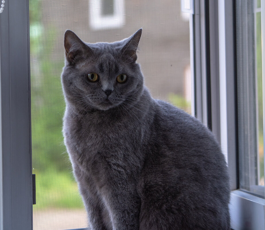 Моя любимица - Марина Никулина