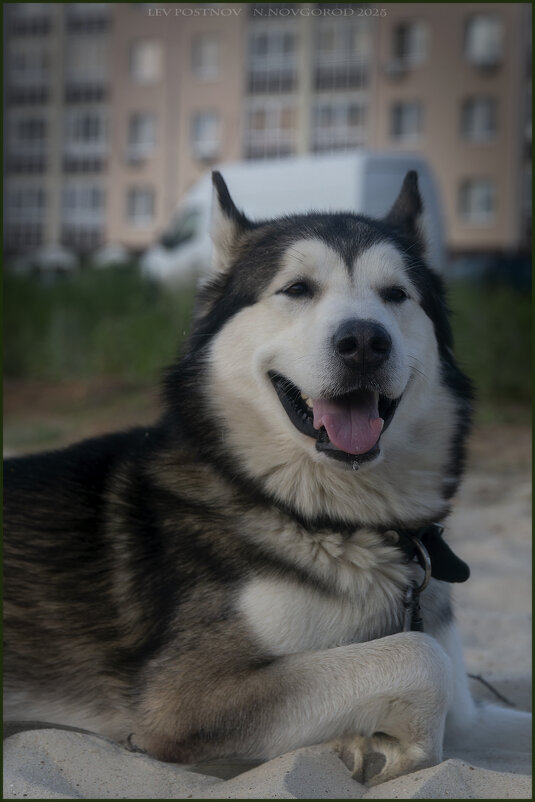 Ярик. - leff Postnov