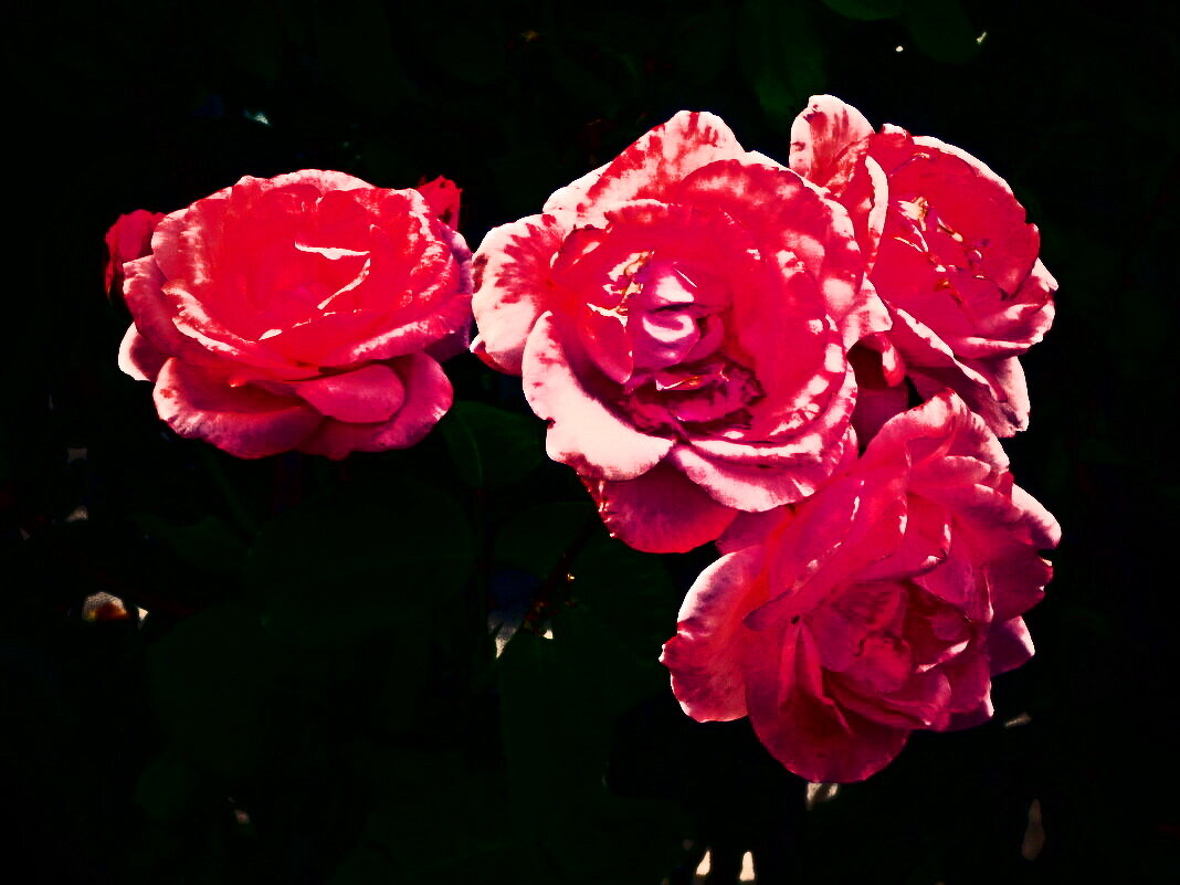 Летние этюды 23 - Алексей Кузнецов