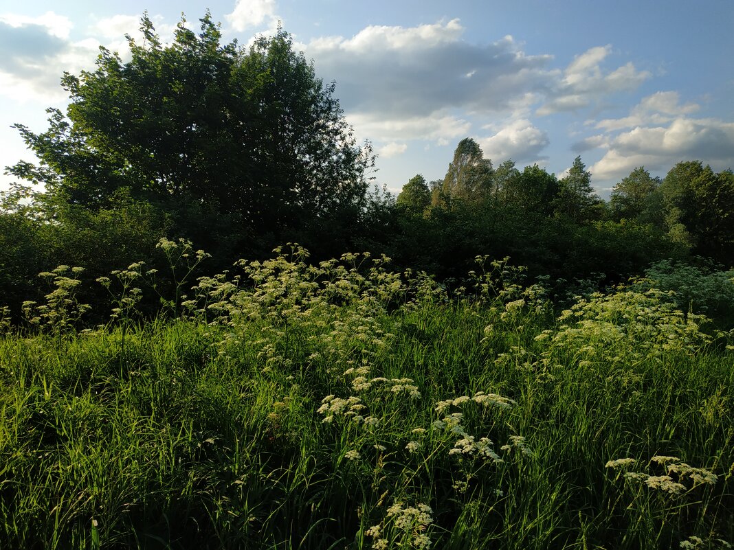 Июнь продолжается - Андрей Лукьянов Июнь продолжается - Андрей Лукьянов