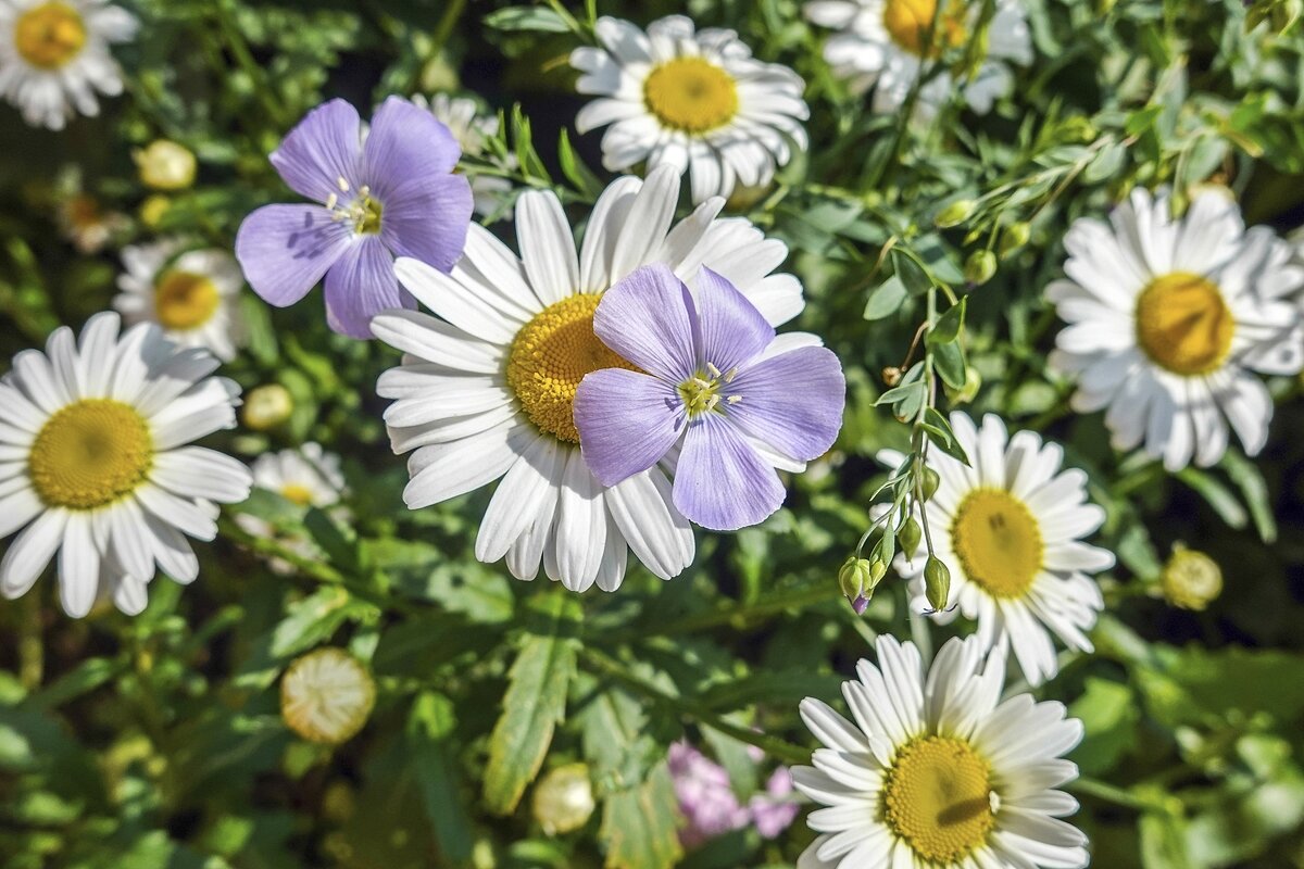 Обнимашки - Валерий Иванович