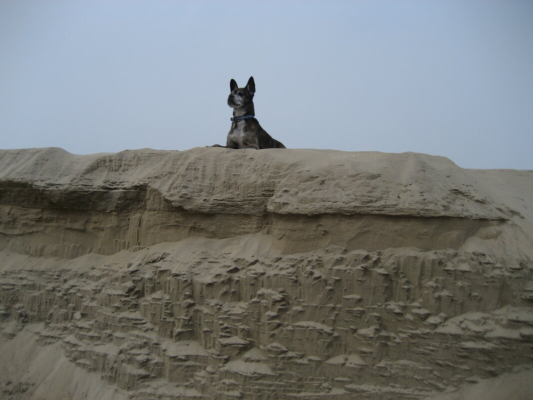 "Сфинкс" - Anna Ivanova