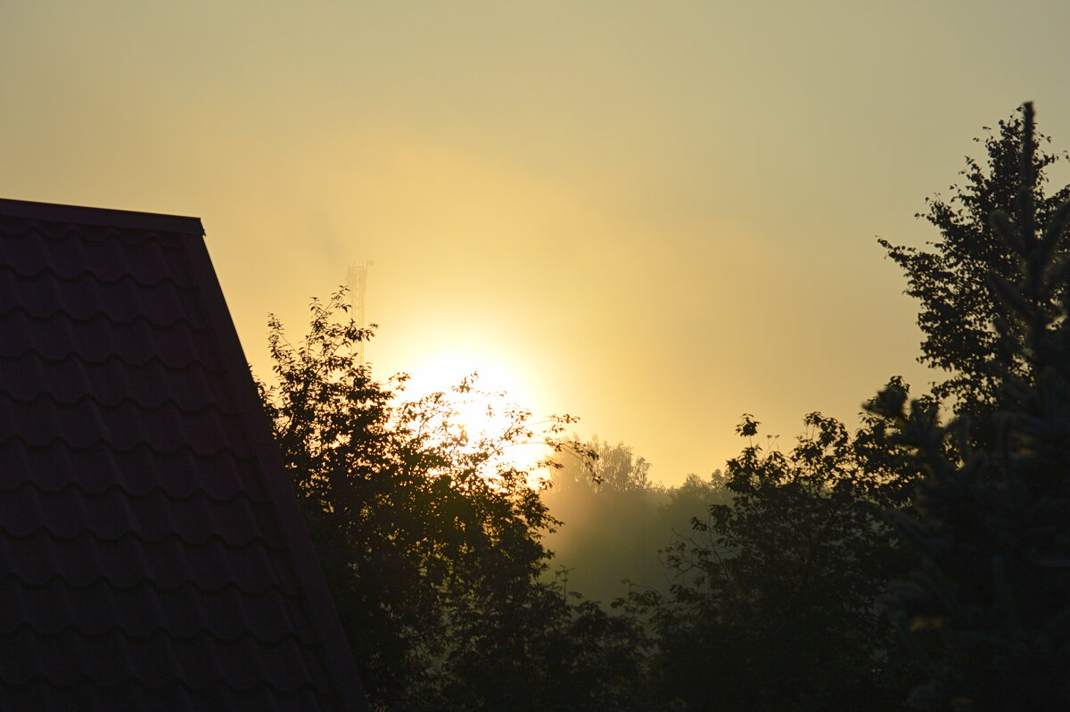 Тёплый июньский рассвет - Татьяна Лютаева