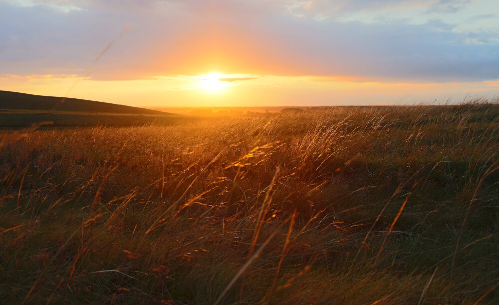 В закатный час - Галина Ильясова В закатный час - Галина Ильясова