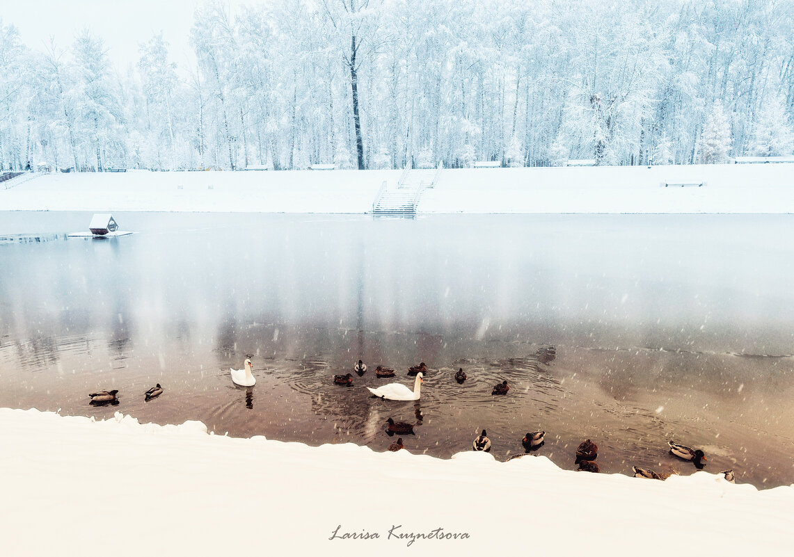 Начало зимы - Larisa Kuznetsova