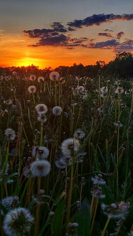 Закат - Оксана Н.