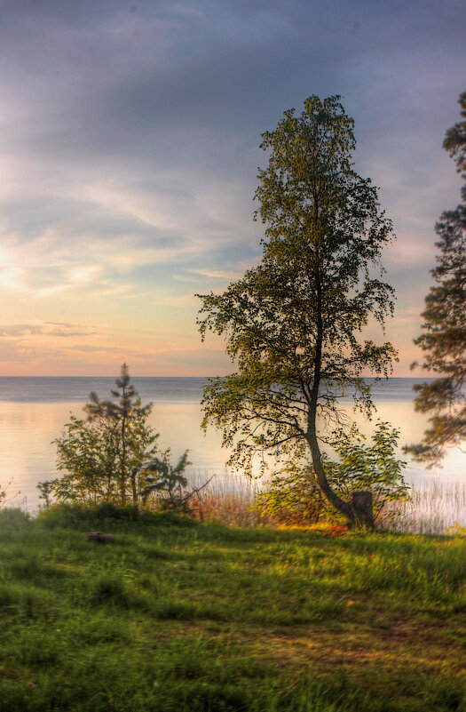 *** - Сергей Григорьев