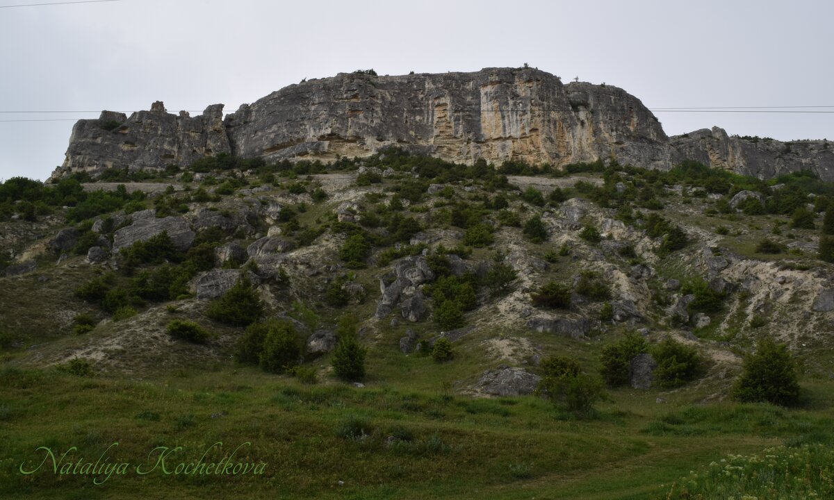 Природа Крыма - Amazing Cosmea Природа Крыма - Amazing Cosmea